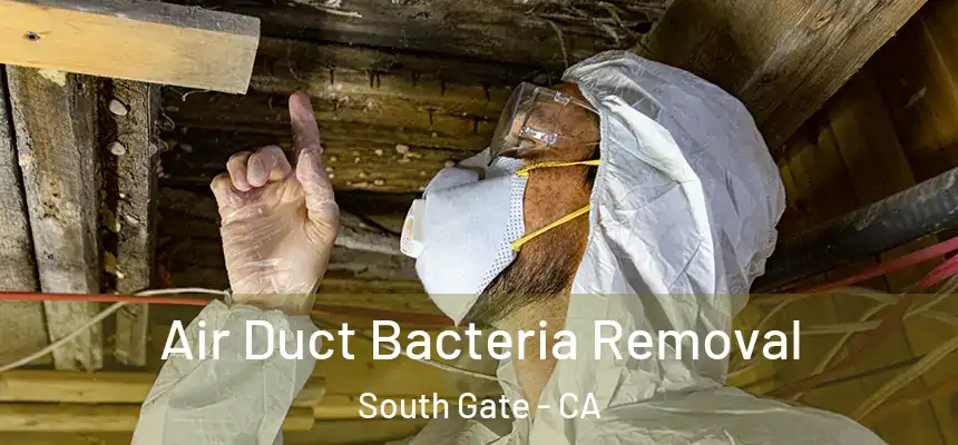 Air Duct Bacteria Removal South Gate - CA