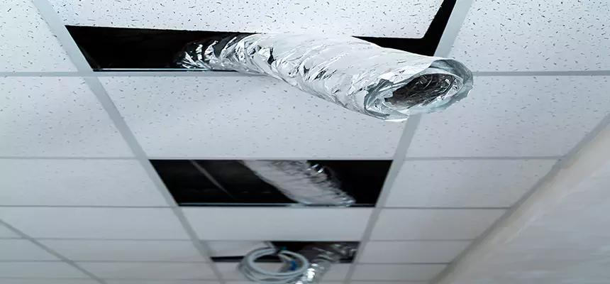 Affordable HVAC Sanitizing After Pest Removal in South Gate