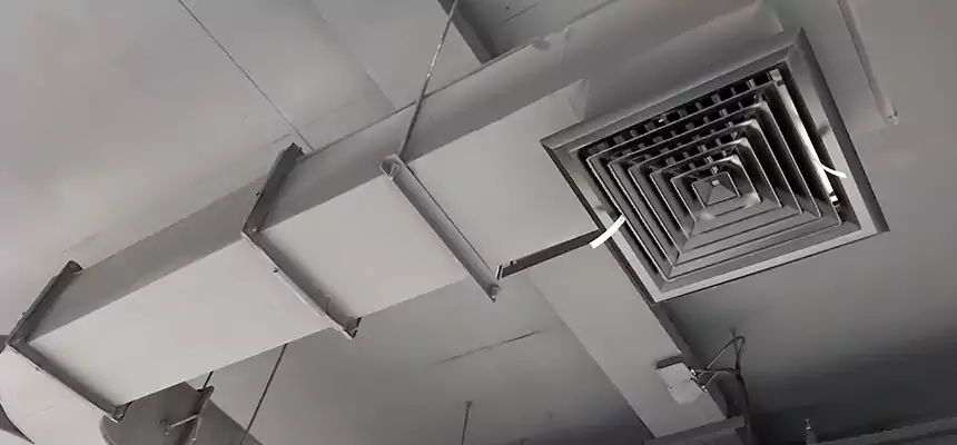 Restorative Allergy Relief Vent Cleaning – Coil, Blower & Housing Detail in South Gate