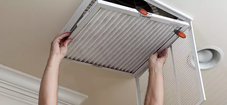 Our Insect Removal from Air Ducts Services in South Gate, CA