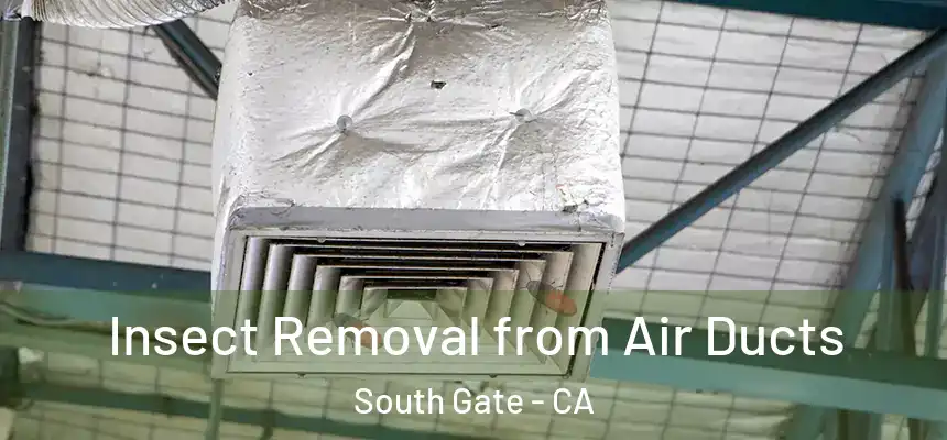 Insect Removal from Air Ducts South Gate - CA
