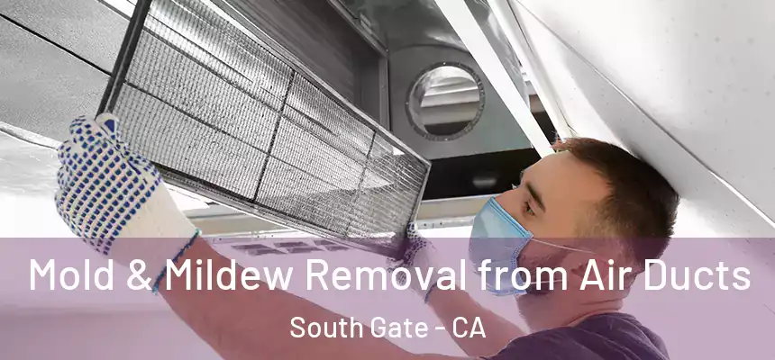 Mold & Mildew Removal from Air Ducts South Gate - CA