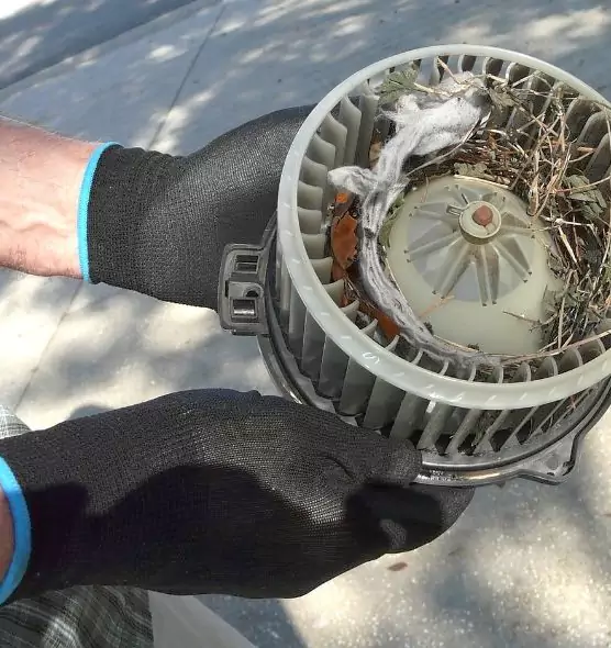 About Air Duct Rat Removal in South Gate, CA