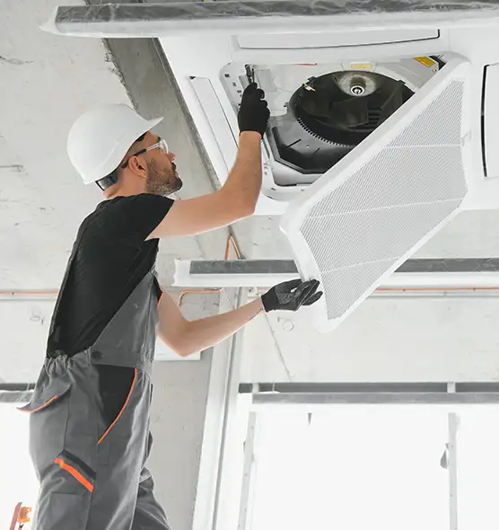 About Air Duct Rodent Removal in South Gate, CA