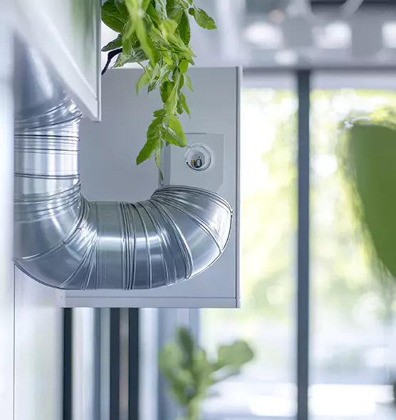 Professional Eco-Safe Dryer Vent Cleaning in South Gate, CA