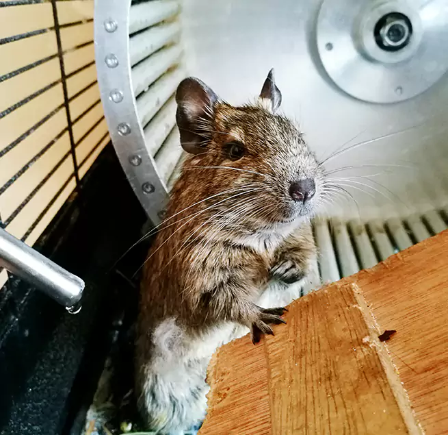 Why Homeowners & Businesses Trust Us South Gate, CA