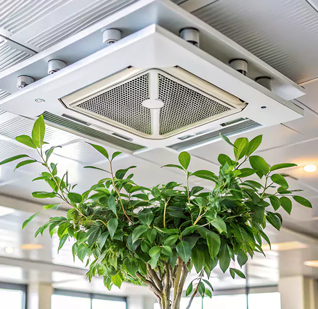 Why Homeowners & Businesses Trust Us in South Gate, CA?